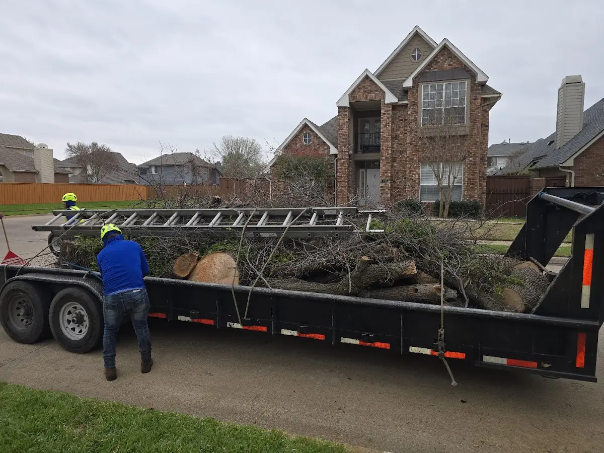 Expert Tree Fertilization with proper safety equipment in Saluda